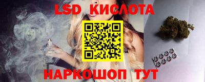 PSILOCYBIN Северобайкальск