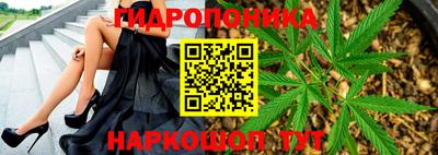 PSILOCYBIN Северобайкальск