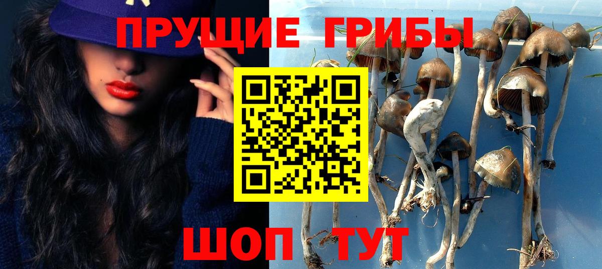 Псилоцибиновые грибы прущие грибы Сердобск
