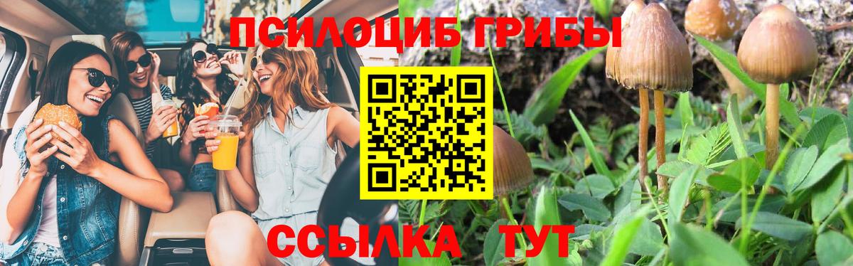 Псилоцибиновые грибы мицелий  Галлюциногенные грибы прущие грибы  наркошоп  Сердобск  Вход с VPN 